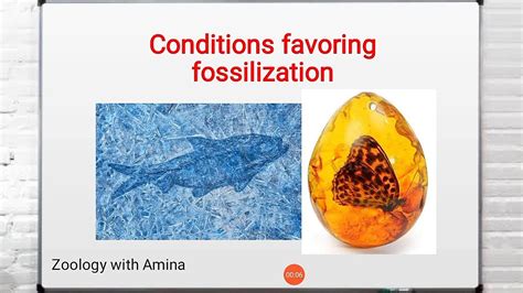 which conditions favor fossil preservation.